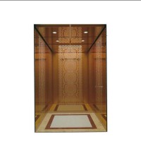 Standard type   passenger /home  villa  elevator lift with good price